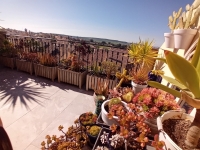 Re-Sale - Townhouse - Algorfa - La Finca Golf Resort