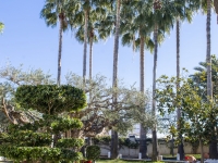 New - Detached Villa - San Pedro del Pinatar - San Pedro del Pinatar - Town