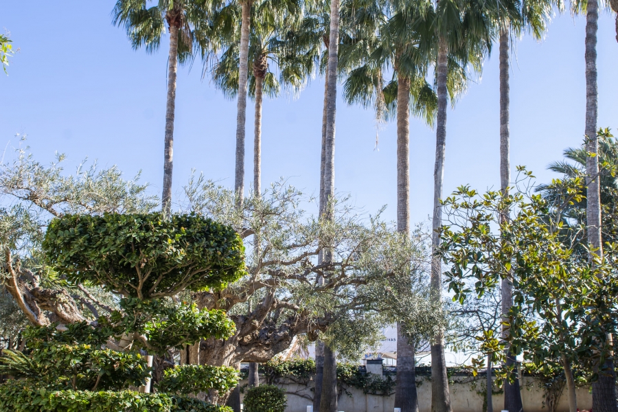 New - Detached Villa - San Pedro del Pinatar - San Pedro del Pinatar - Town