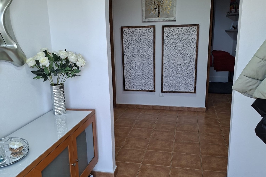 Re-Sale - Country Property - Catral - Catral - Country