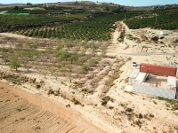 Wederverkoop - Perceel Grond - Torremendo - Torremendo - Veld