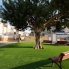 Re-Sale - Apartment - Orihuela Costa - Playa Flamenca