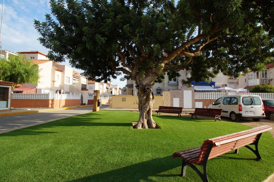 Re-Sale - Apartment - Orihuela Costa - Playa Flamenca