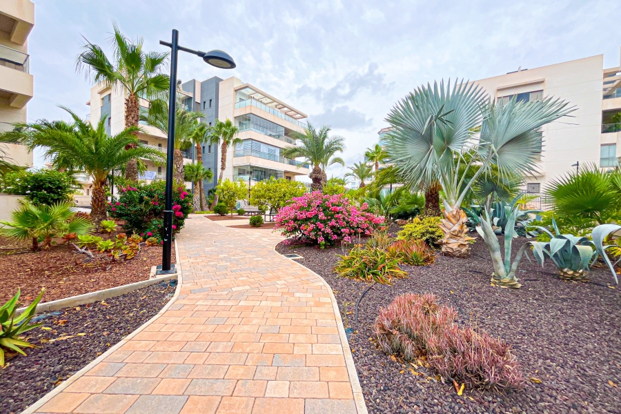 Re-Sale - Apartment - Orihuela Costa - Villamartin