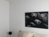 Re-Sale - Townhouse - Los Alcazares - Serena Golf