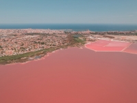 New - Apartment - Torrevieja - Torrevieja - Centre