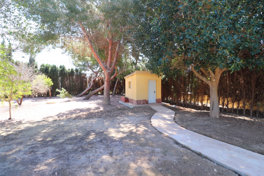 Wederverkoop - Landgoed - Callosa de Segura - Callosa de Segura - Veld