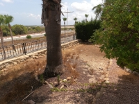 Re-Sale - Apartment - Algorfa - La Finca Golf Resort