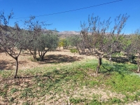 Re-Sale - Detached Villa - La Romana - La Romana - Country