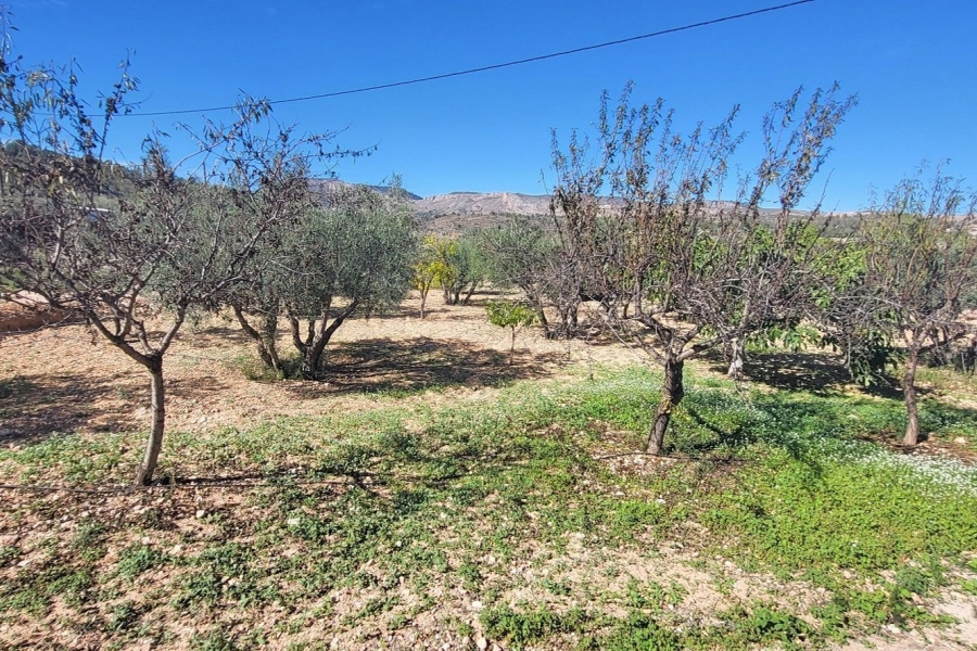 Re-Sale - Detached Villa - La Romana - La Romana - Country