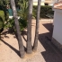 Re-Sale - Detached Villa - Ciudad Quesada - Ciudad Quesada - Town