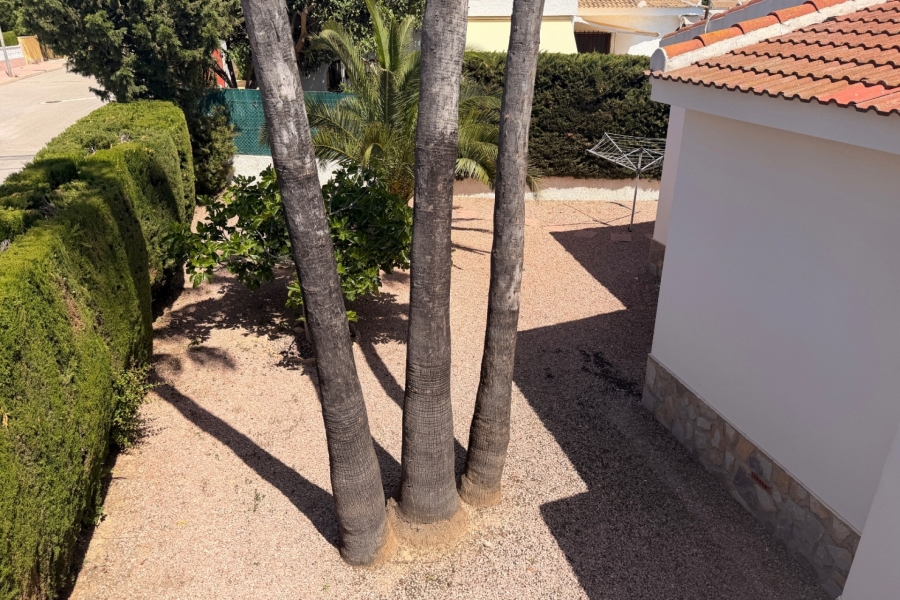 Re-Sale - Detached Villa - Ciudad Quesada - Ciudad Quesada - Town