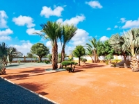 New - Country Property - Catral - Catral - Country