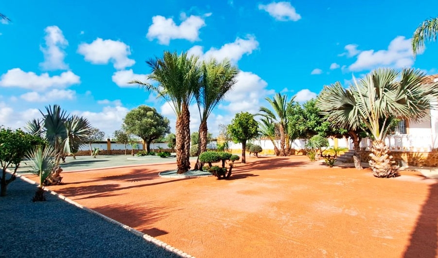 New - Country Property - Catral - Catral - Country