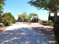 Wederverkoop - Landgoed - Callosa de Segura - Callosa de Segura - Veld