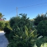 Re-Sale - Detached Villa - Torrevieja - Torretas