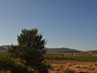 Re-Sale - Country Property - Pinoso - Edge of town