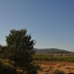 Re-Sale - Country Property - Pinoso - Edge of town