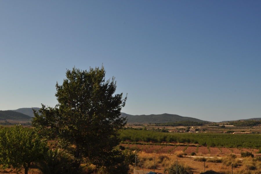 Re-Sale - Country Property - Pinoso - Edge of town