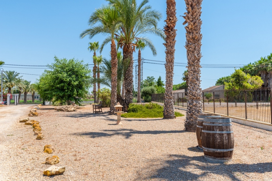 Re-Sale - Country Property - Catral - Catral - Country