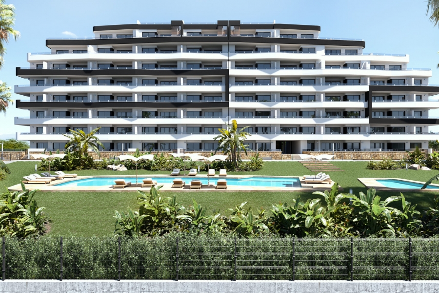 New - Apartment - San Miguel de Salinas - San Miguel - Town
