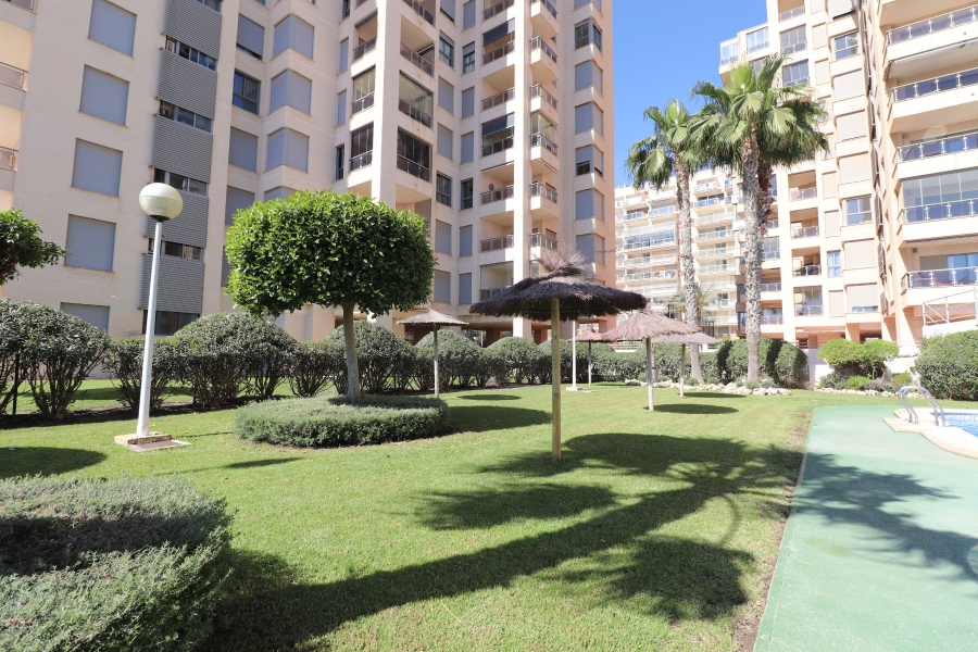 Wederverkoop - Duplex - Guardamar del Segura - Guardamar del Segura - Stad