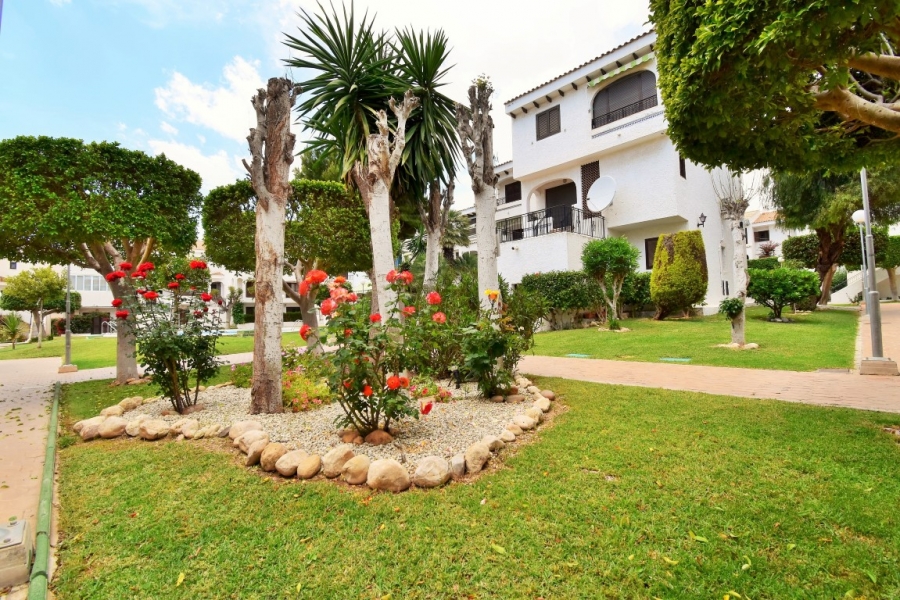 La Revente - Appartement - Orihuela Costa - Playa Flamenca