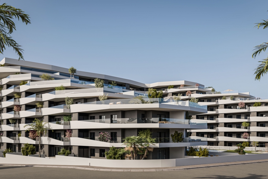 New - Apartment - San Miguel de Salinas - San Miguel - Town
