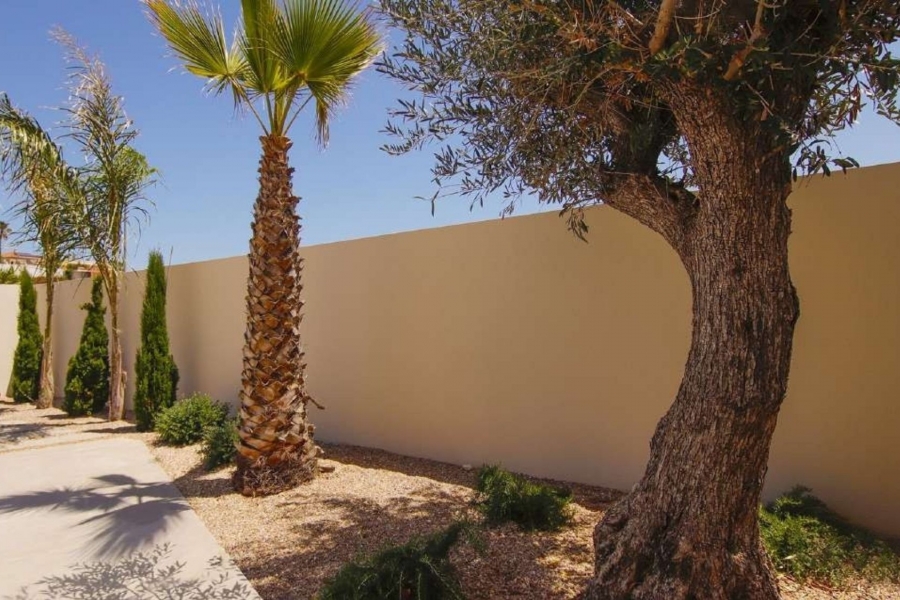 New - Detached Villa - La Marina - La Escuera