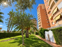 Re-Sale - Apartment - Orihuela Costa - Dehesa de Campoamor