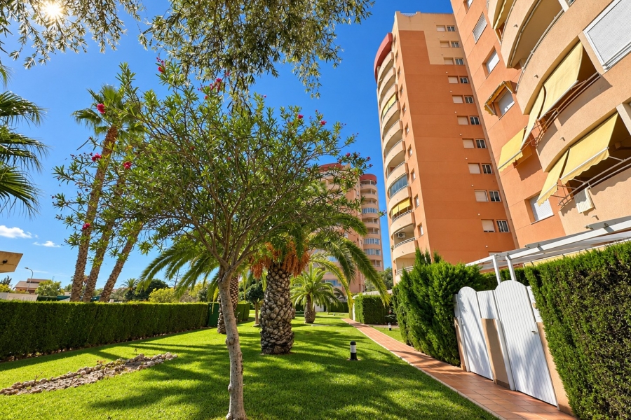 Re-Sale - Apartment - Orihuela Costa - Dehesa de Campoamor