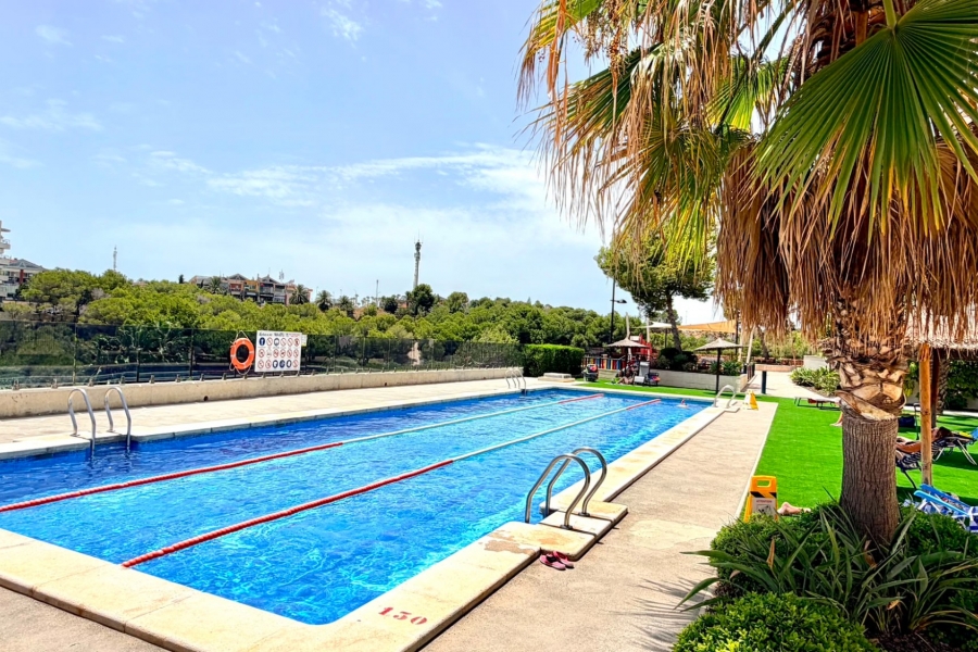 Re-Sale - Apartment - Orihuela Costa - La Zenia