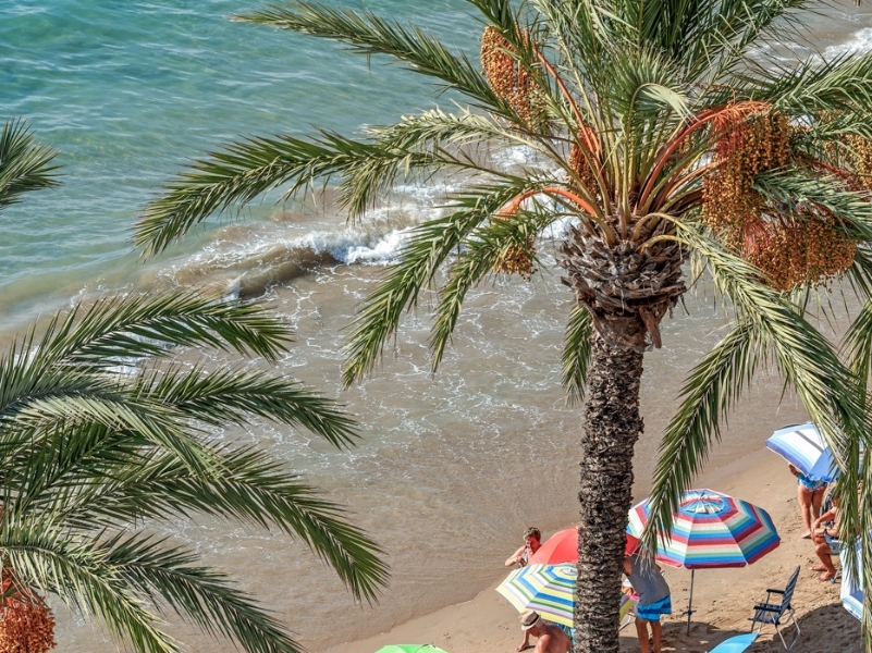 Re-Sale - Apartment - Torrevieja - Playa Del Cura