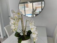 Re-Sale - Detached Villa - Orihuela Costa - Villamartin