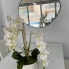 Re-Sale - Detached Villa - Orihuela Costa - Villamartin