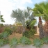 Re-Sale - Detached Villa - Ciudad Quesada - Ciudad Quesada - Town