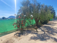 Re-Sale - Detached Villa - La Romana - La Romana - Country