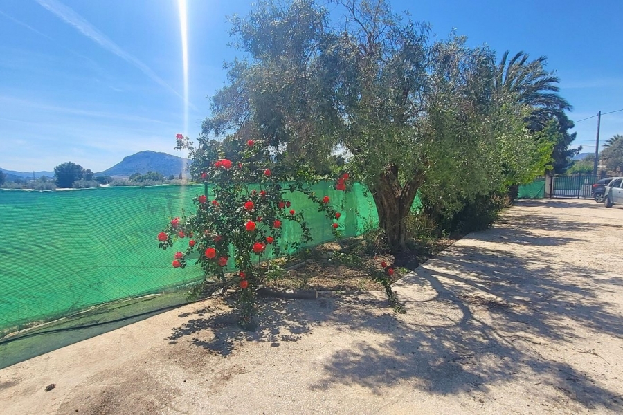 Re-Sale - Detached Villa - La Romana - La Romana - Country