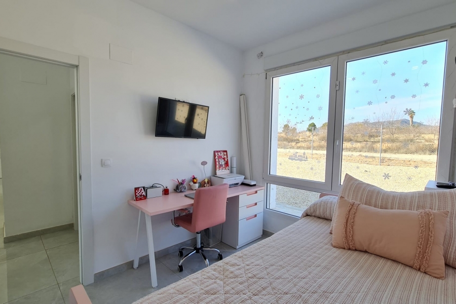 New - Detached Villa - Pinoso - Pinoso - Country