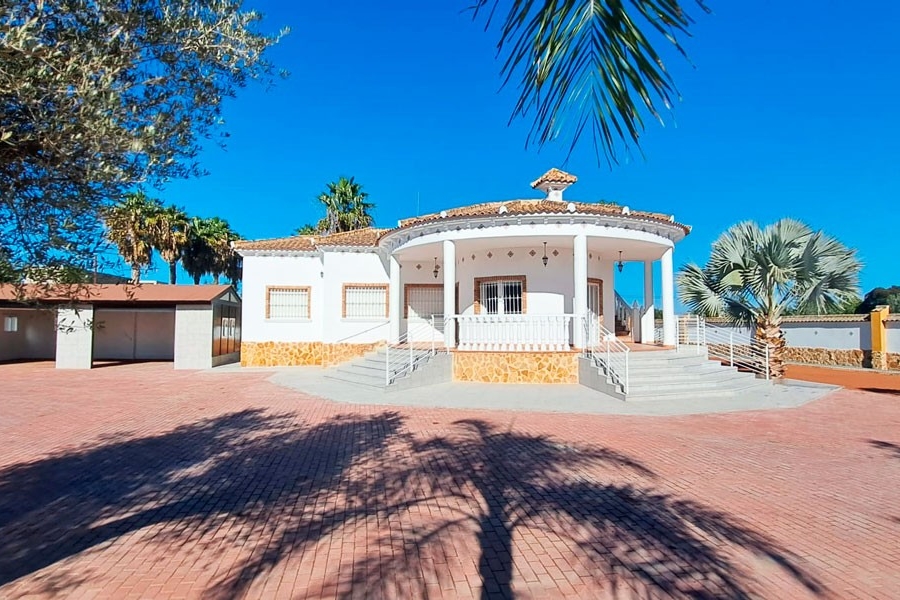 New - Country Property - Catral - Catral - Country