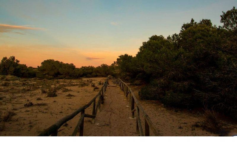 Nueva - Chalet - La Marina - La Marina / El Pinet