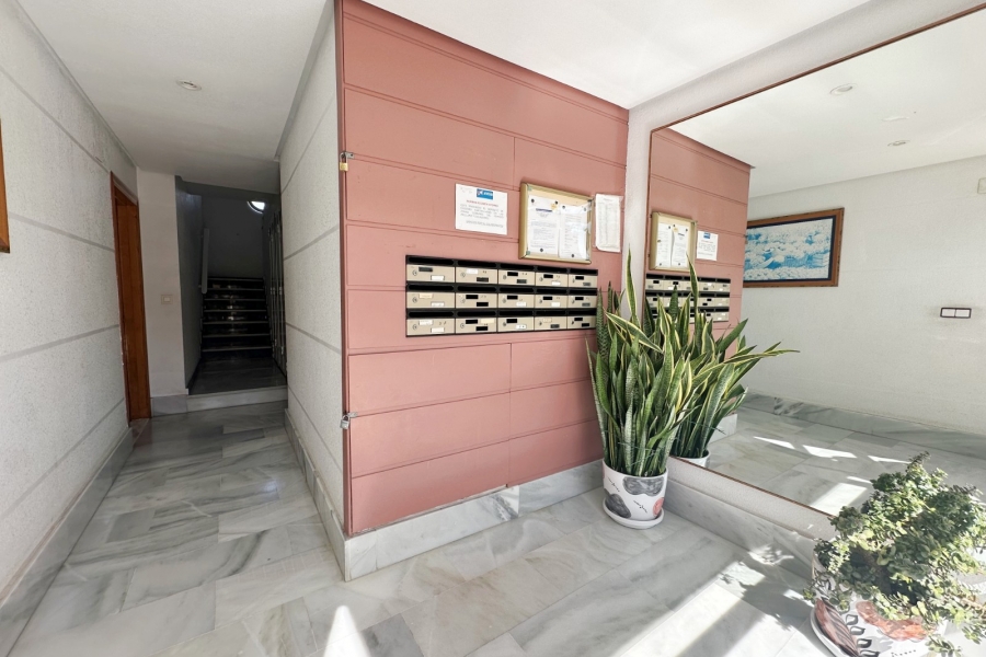 Re-Sale - Apartment - Torrevieja - Torrevieja - Centre