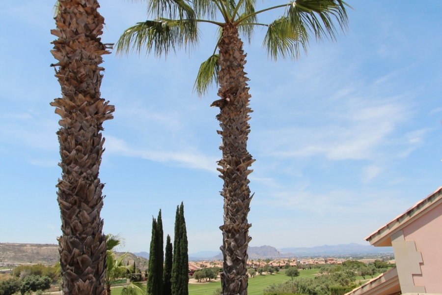 Re-Sale - Detached Villa - Algorfa - La Finca Golf Resort