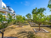 Re-Sale - Apartment - Orihuela Costa - Los Dolses