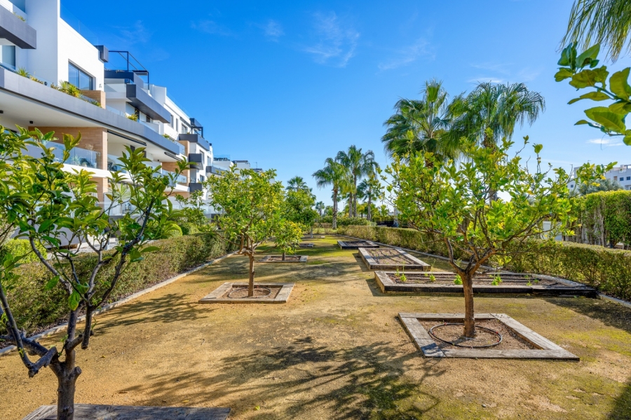 Re-Sale - Apartment - Orihuela Costa - Los Dolses