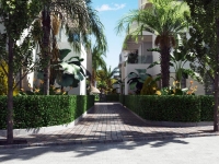 Nueva - Apartamento - Torre-Pacheco