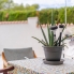 Re-Sale - Detached Villa - La Nucia - Panorama