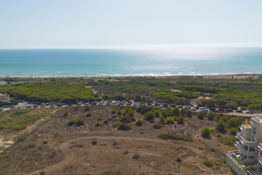 Re-Sale - Apartment - Guardamar del Segura - Campomar