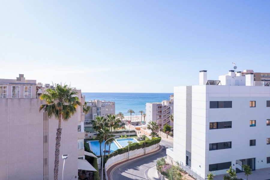 Nueva - Apartamento - El Campello