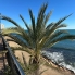 Re-Sale - Apartment - Orihuela Costa - Punta Prima